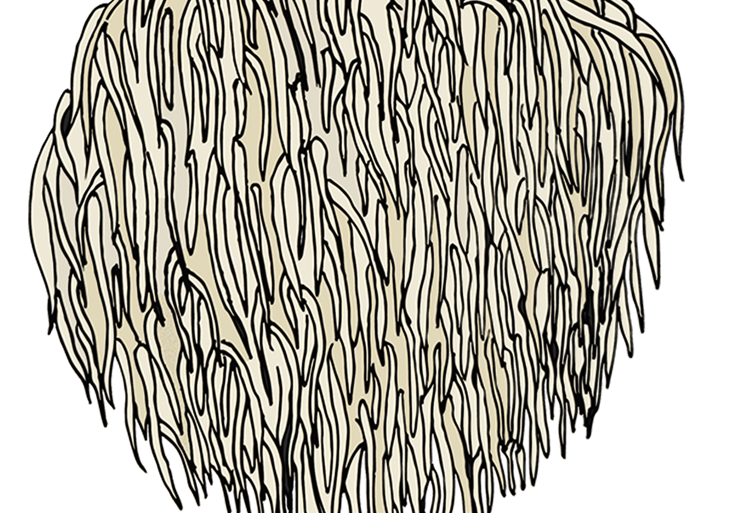 Lion's Mane Growing Instructions