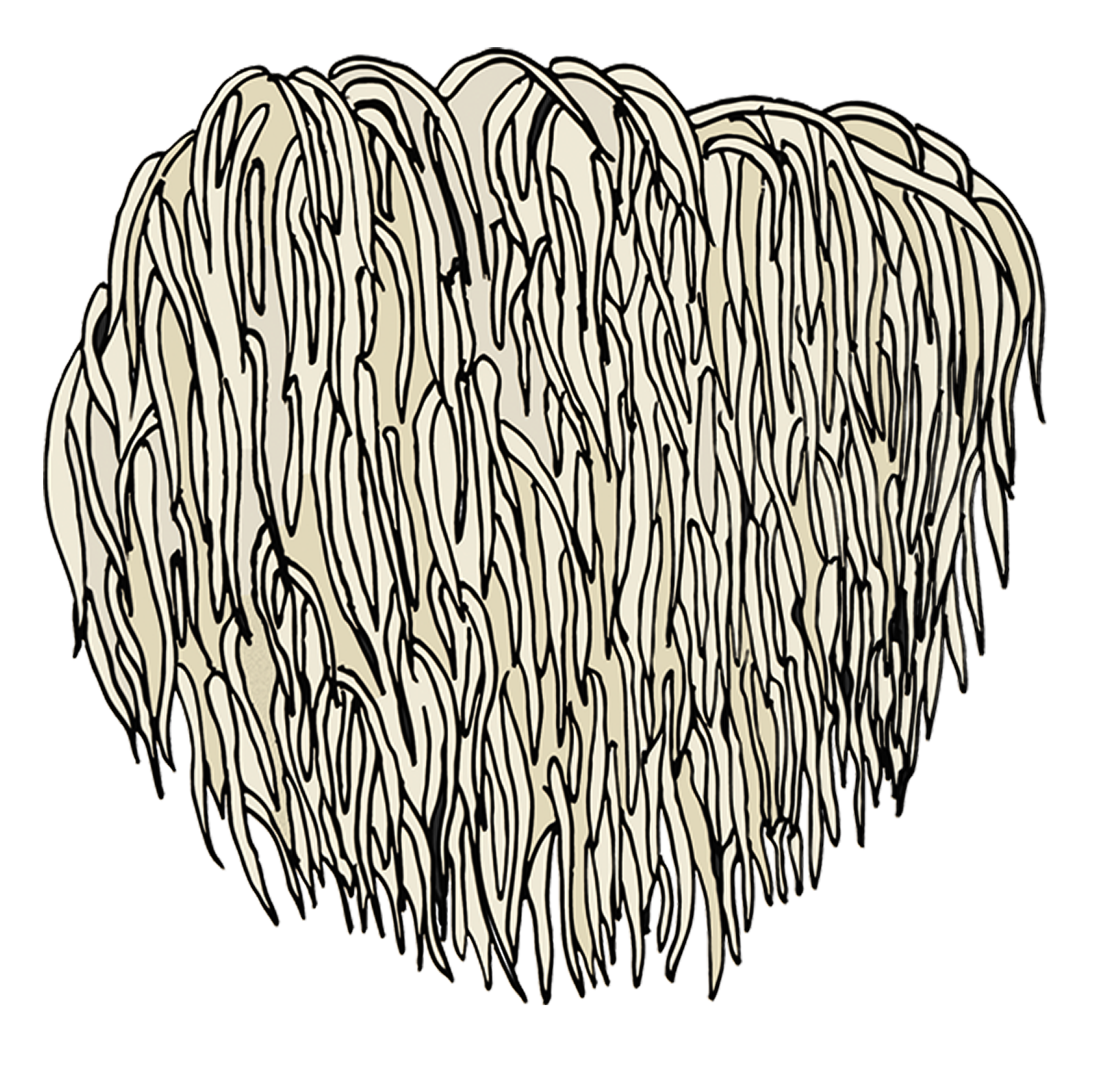Lion's Mane Growing Instructions