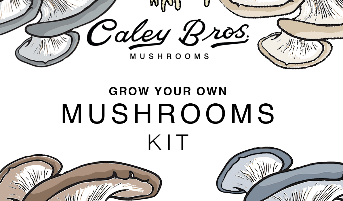 Mushroom Box Kit Instructions: How to Grow at Home