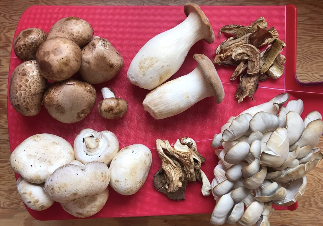 Our Favourite Edible Mushrooms