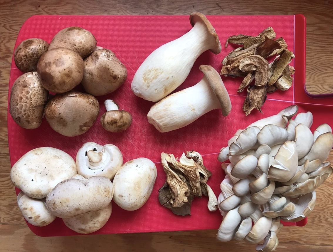 Our Favourite Edible Mushrooms