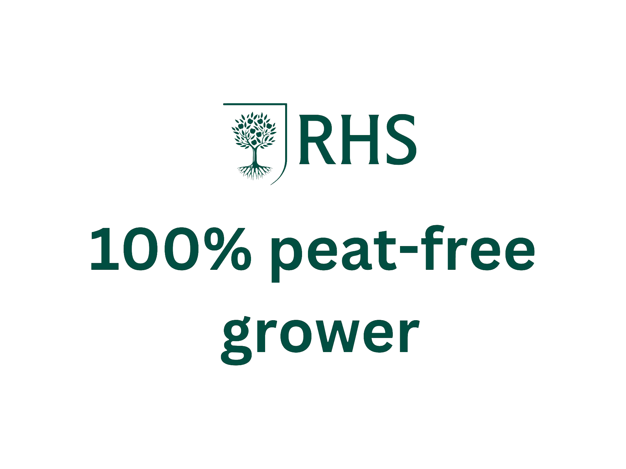 Growing Mushrooms Without Peat: A Sustainable Shift
