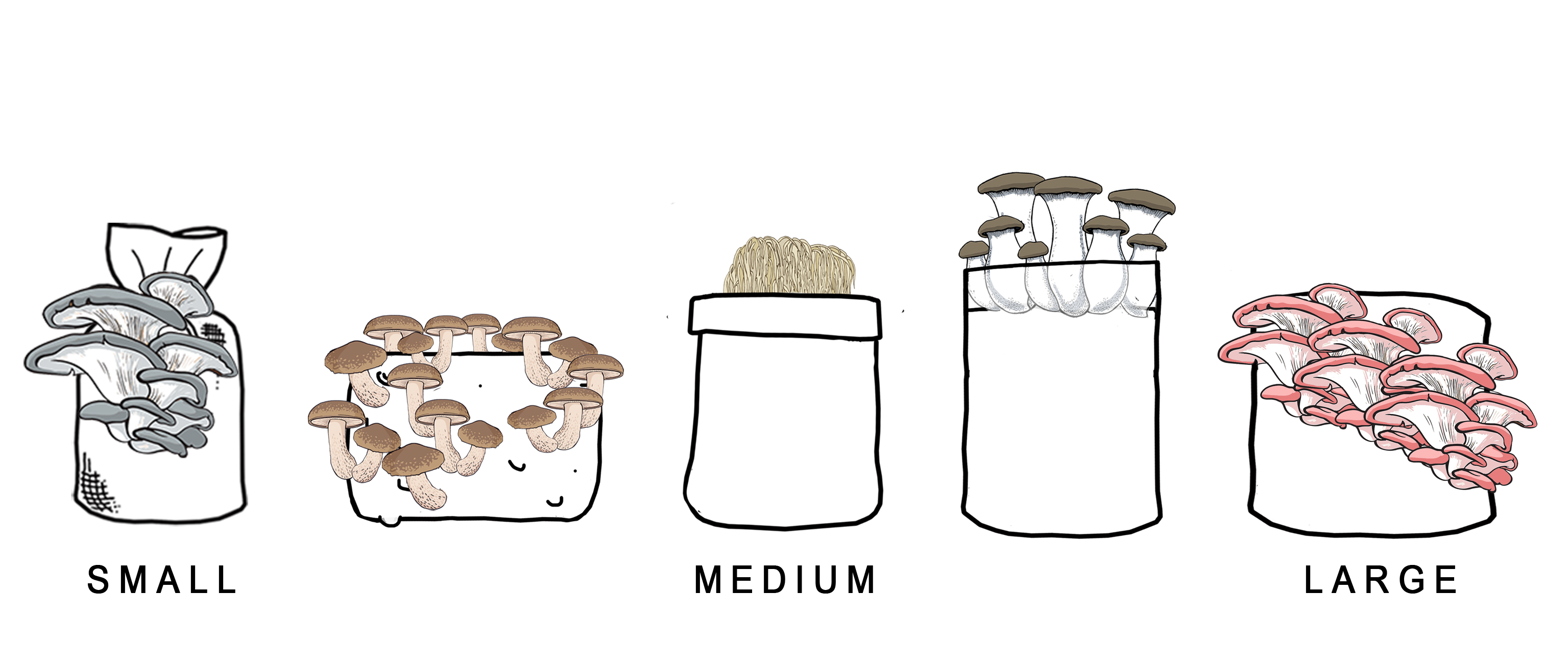 Small or Large Mushroom Kit: What's the Difference?