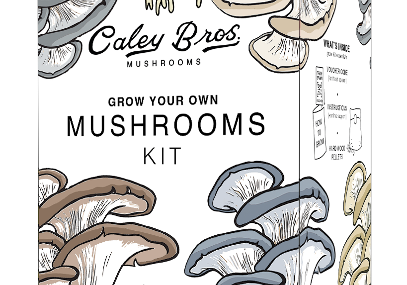 Mushroom Growing - Reimagined