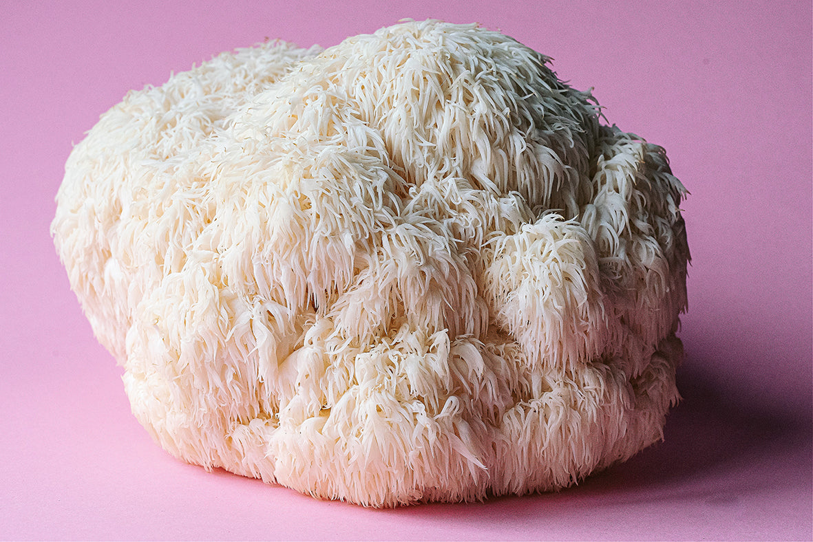 Functional vs Medicinal Mushrooms: What's the Difference?
