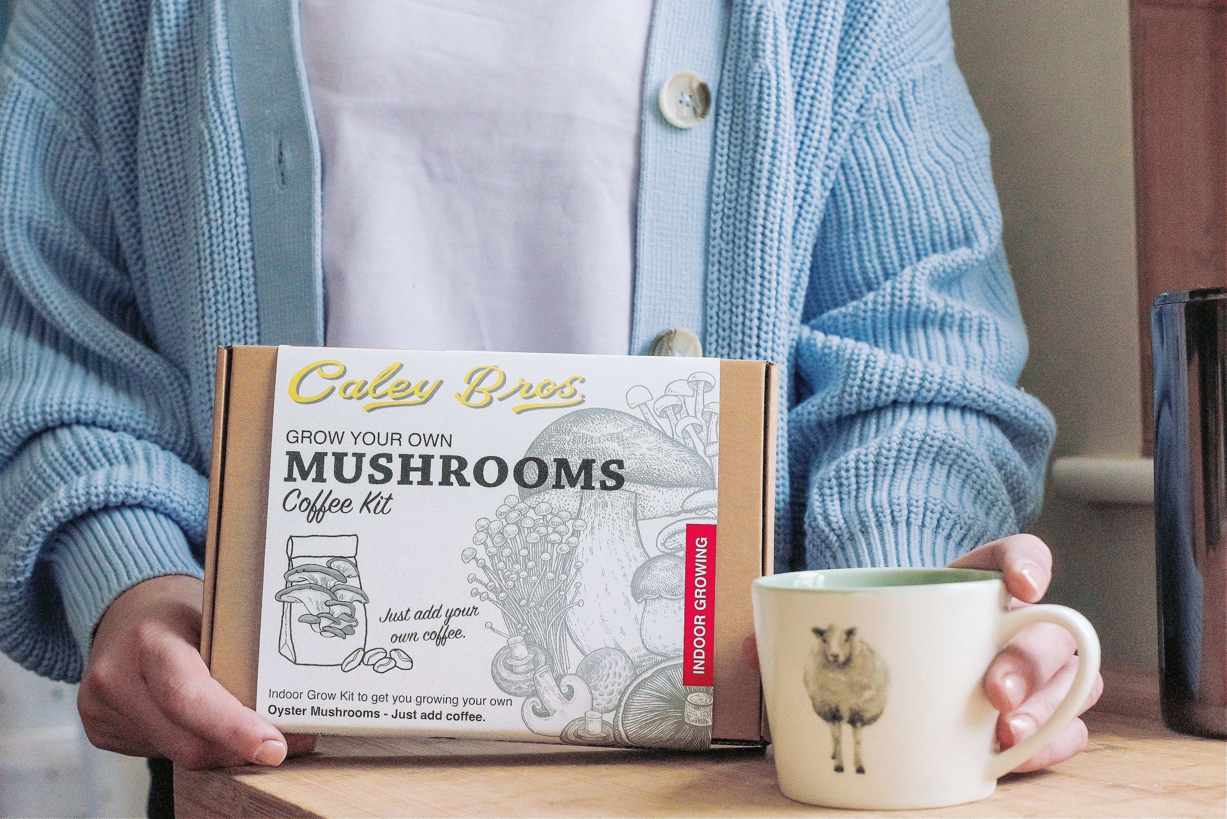 How to Grow Mushrooms on Used Coffee Grounds