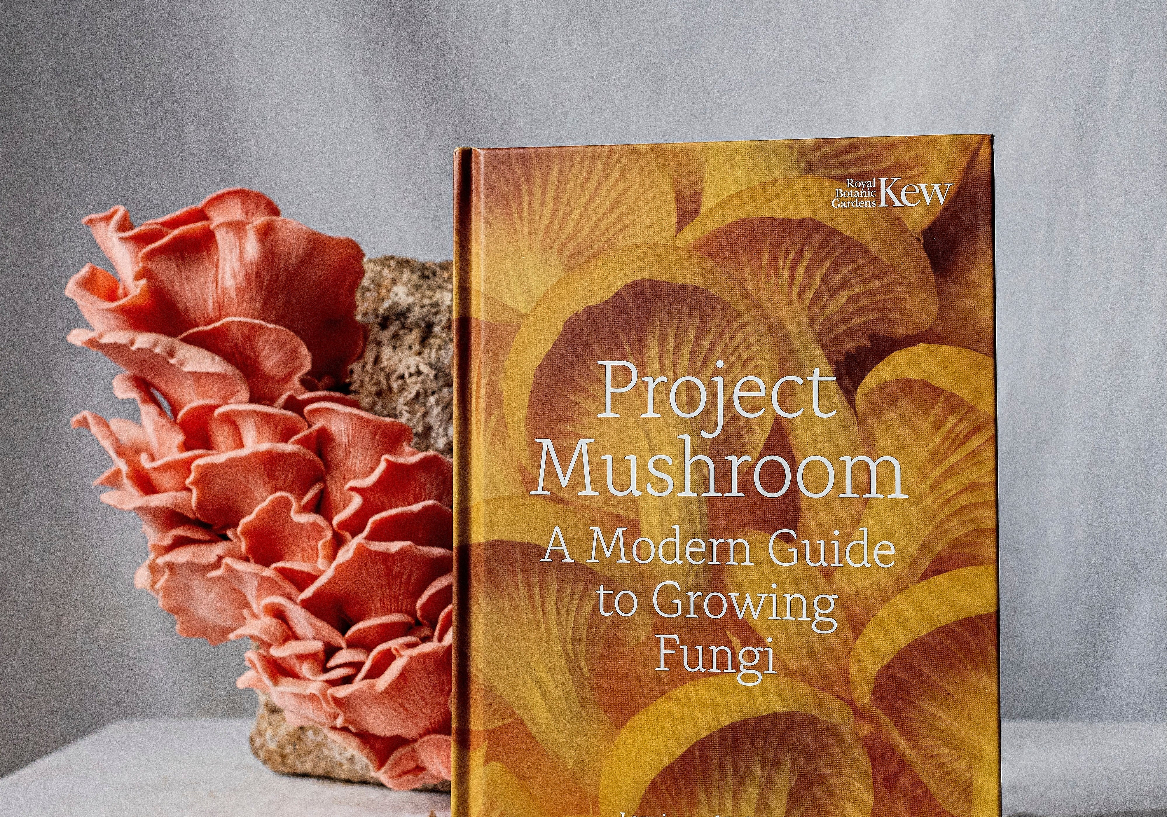 An imaged of our book Project Mushroom, with pink oyster mushrooms in the back ground.
