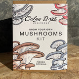 Mushroom Gift Box - Spawn Redemption