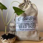 Coley Bros mushroom seed pots with a plant and packaging on a wooden surface.