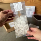 Hand holding a clear plastic bag with mushroom spawn on grain against a blurred indoor background