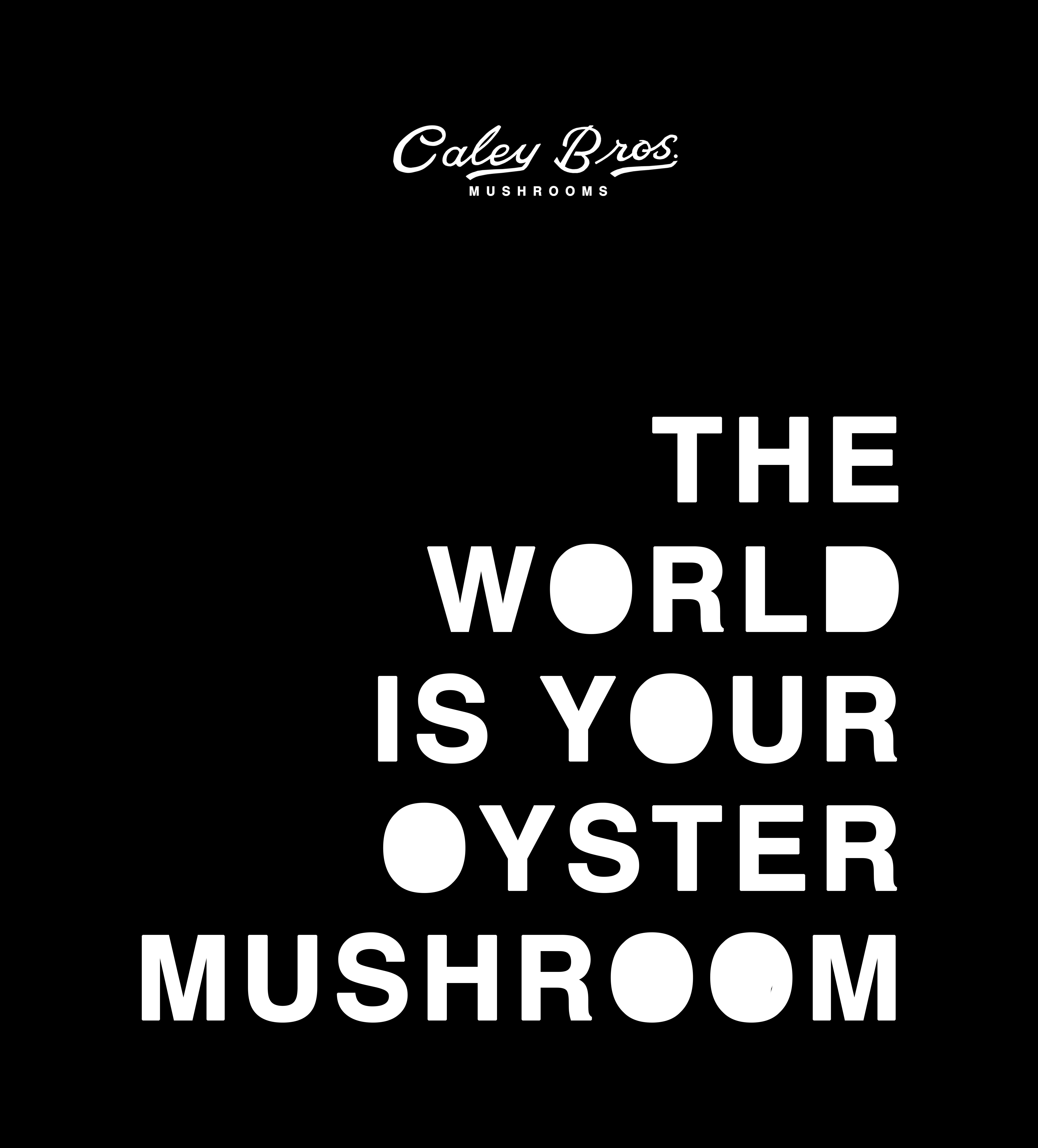 Black background with white text 'The World is Your Oyster Mushroom' and 'Caley Bros Mushrooms' logo.