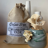 Mushroom-shaped vase with decorative label on a plain background