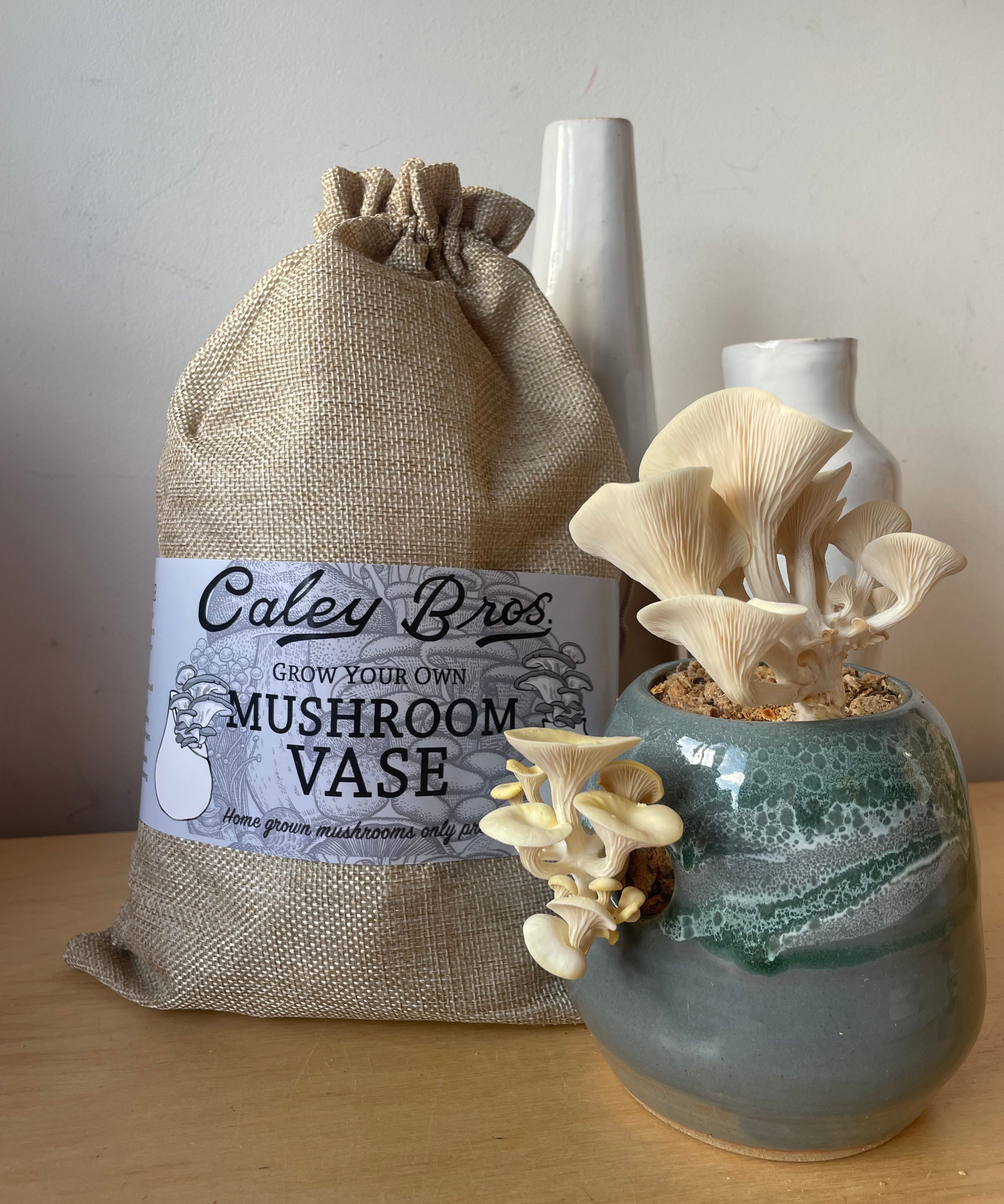 Mushroom-shaped vase with decorative label on a plain background