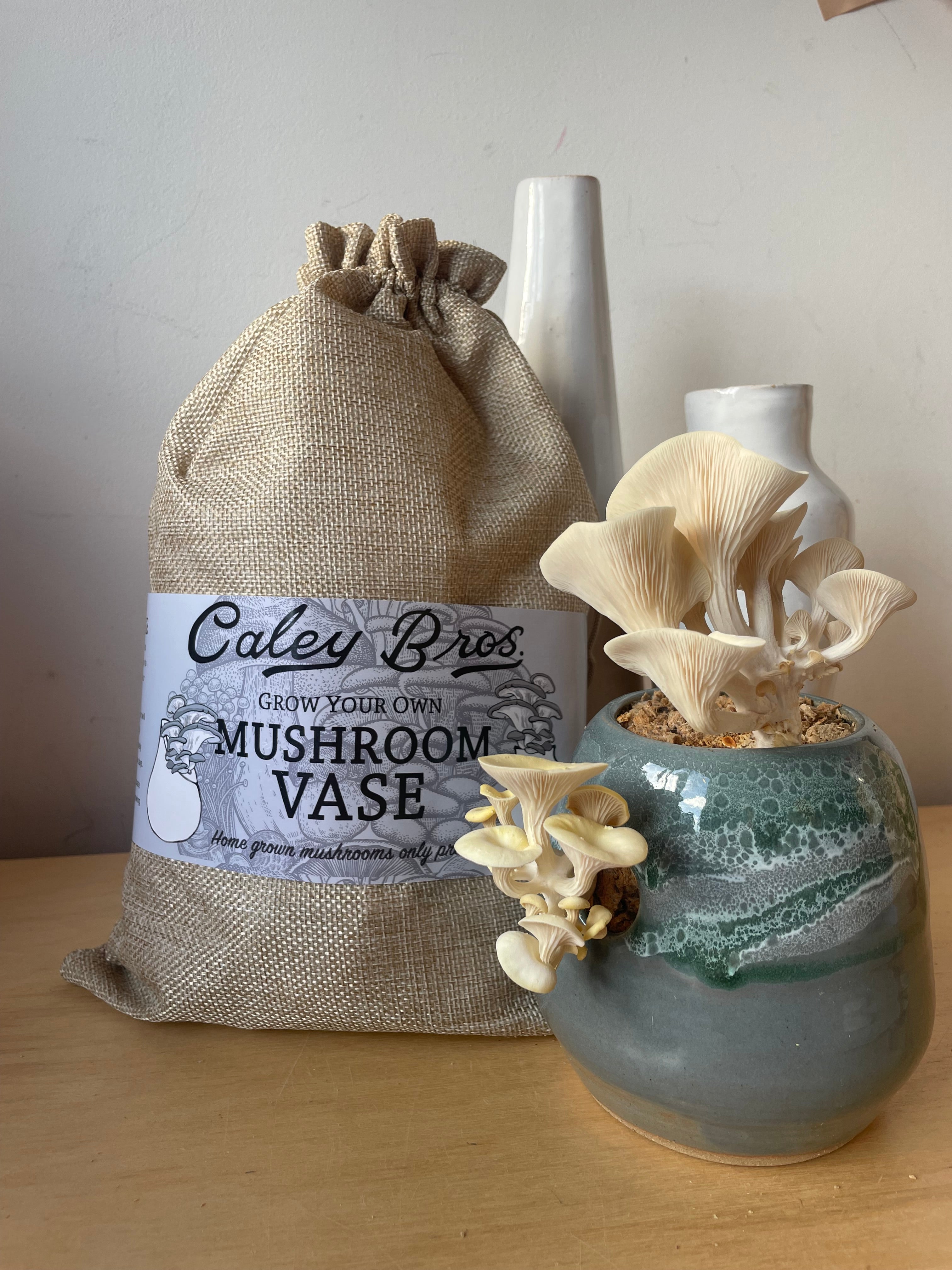 Mushroom-shaped vase with decorative label on a plain background