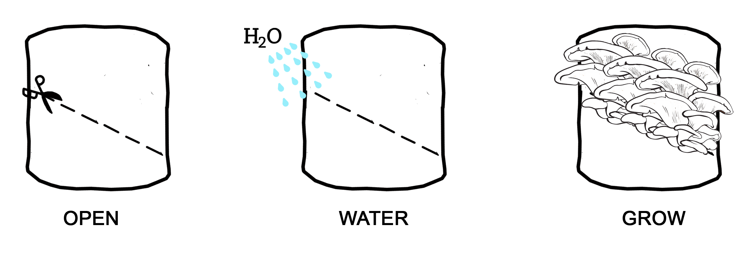 Diagram showing the process of opening a kit, adding water, and growing food.