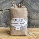 Lion’s Mane Mushroom Grow Your Own Kit