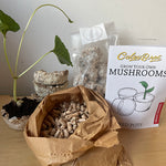 Mushroom growing kit with packaging and materials on a wooden surface
