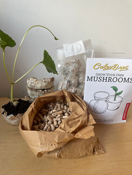 Mushroom growing kit with packaging and materials on a wooden surface