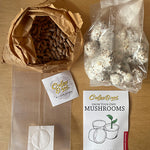 Mushroom growing kit with brown paper bag, seed pots, and packaging on a wooden surface.
