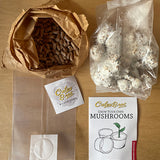 Mushroom growing kit with brown paper bag, seed pots, and packaging on a wooden surface.