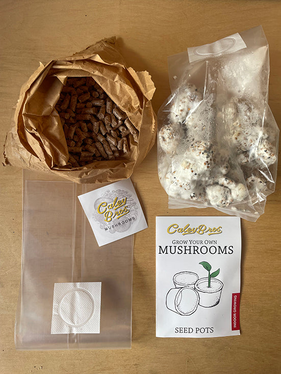 Mushroom growing kit with brown paper bag, seed pots, and packaging on a wooden surface.
