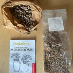 Mushroom growing kit with packaging on a wooden surface