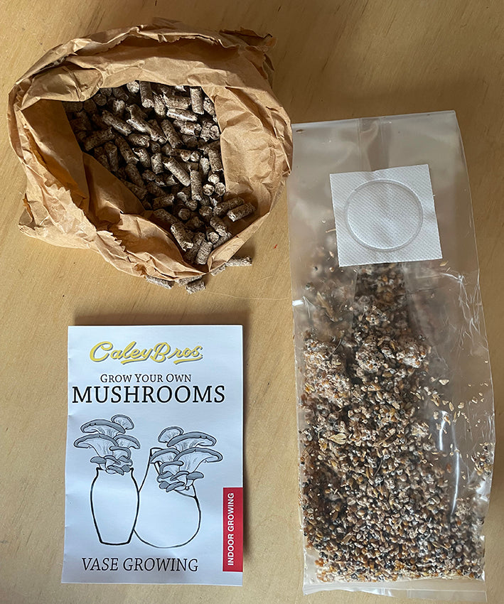 Mushroom growing kit with packaging on a wooden surface
