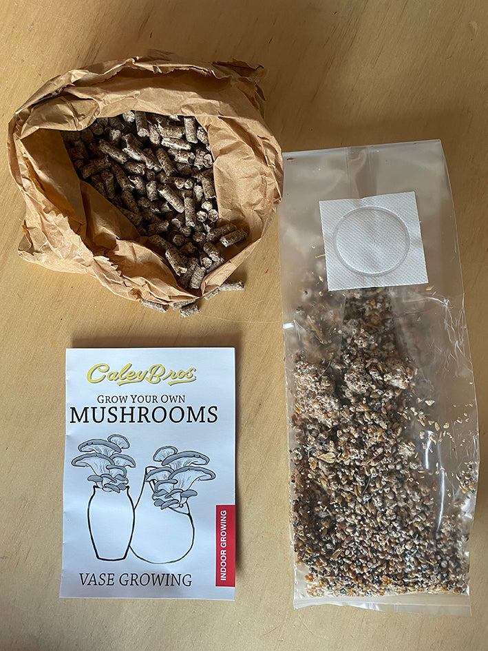 Mushroom growing kit with packaging on a wooden surface