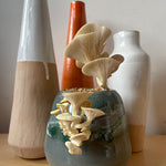 Decorative vase with mushroom growing in front of other vases on a wooden surface.