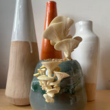 Decorative vase with mushroom growing in front of other vases on a wooden surface.