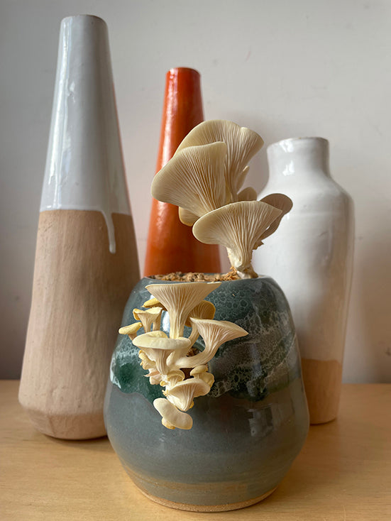 Decorative vase with mushroom growing in front of other vases on a wooden surface.