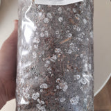 Coffee Kit - Grow Your Own Mushrooms on Used Coffee Grounds