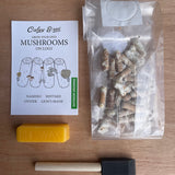 Mushroom Log Growing Kit