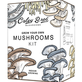 Mushroom Gift Box – Spawn Redemption