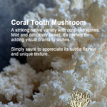 Coral Tooth Mushroom with text describing its characteristics and uses