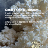 Coral Tooth Mushroom with text describing its characteristics and uses