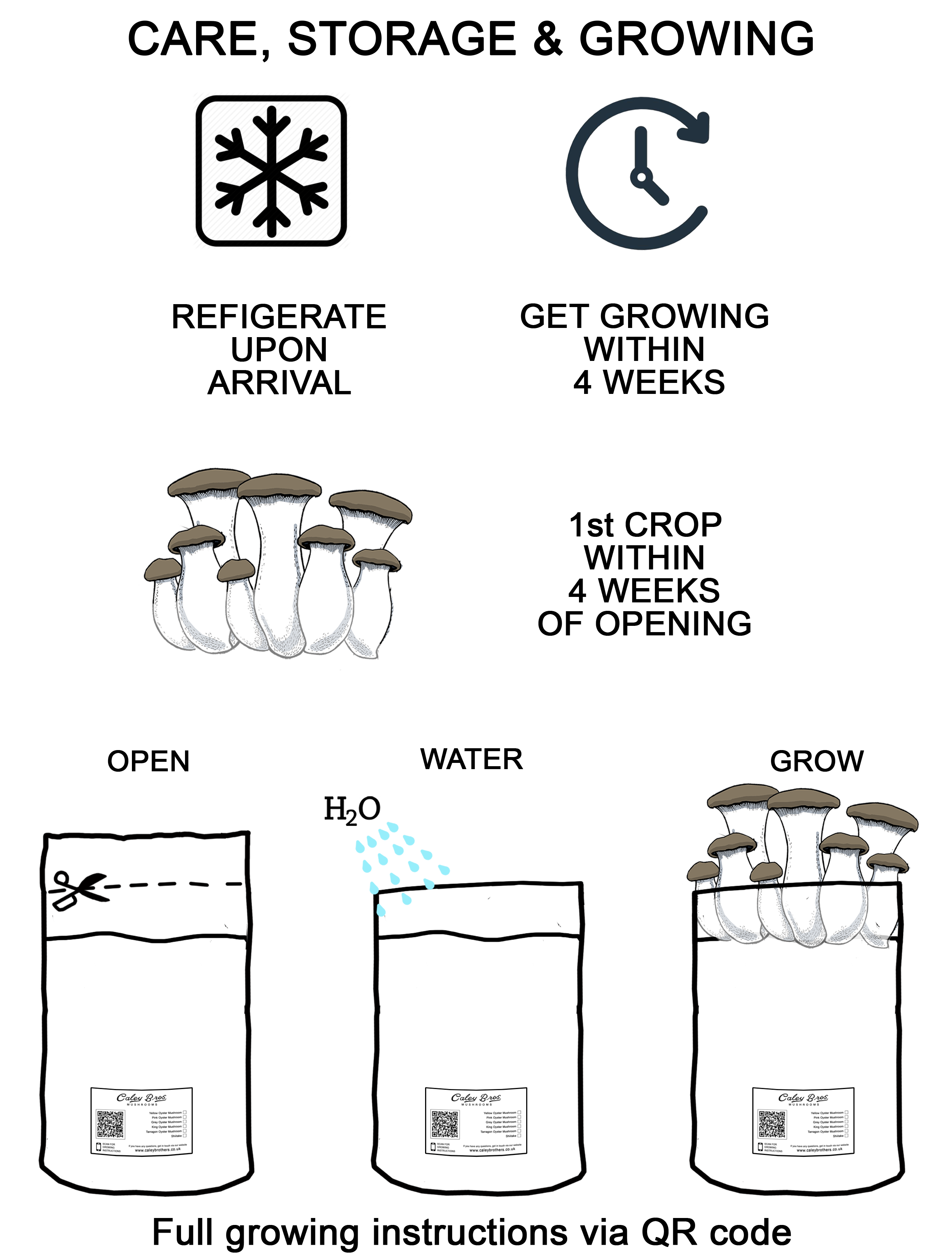 Illustrations of mushroom growing instructions with icons and text on a white background.