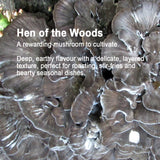 Mushroom Log Growing Kit
