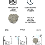 Illustrations and text on a white background about care, storage, and growing instructions for a product.