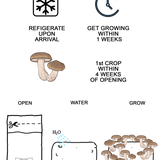 Illustrated guide for mushroom care, storage, and growing with icons and text on a white background.