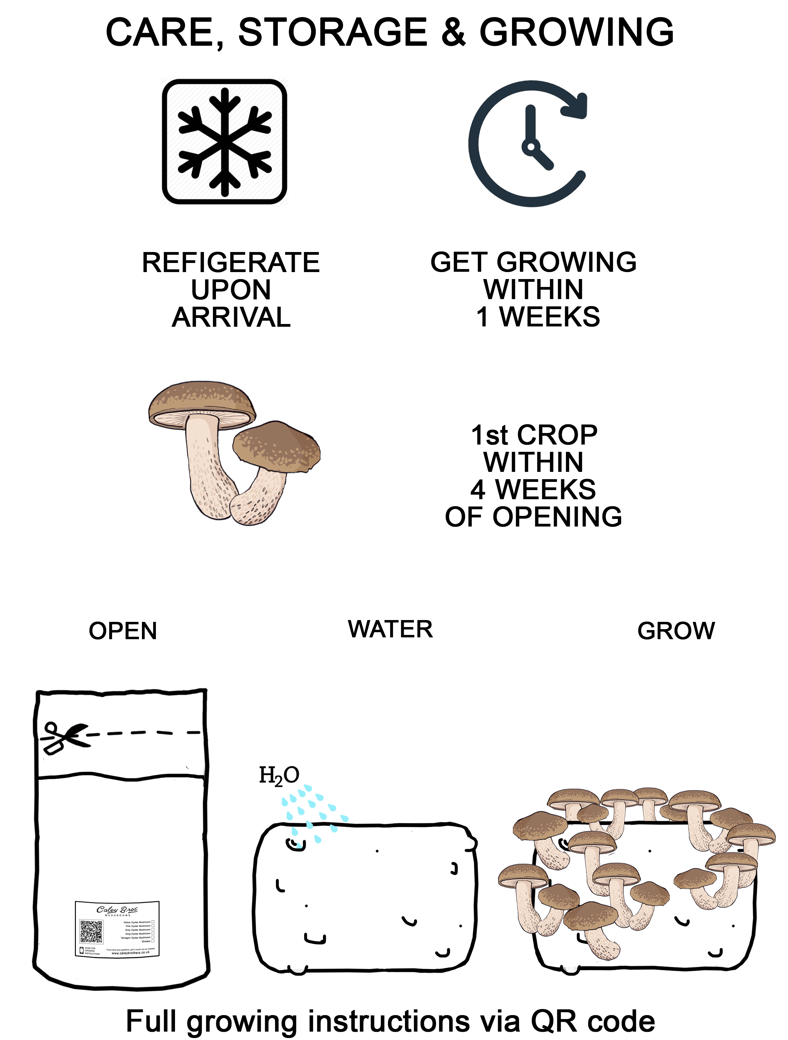 Illustrated guide for mushroom care, storage, and growing with icons and text on a white background.