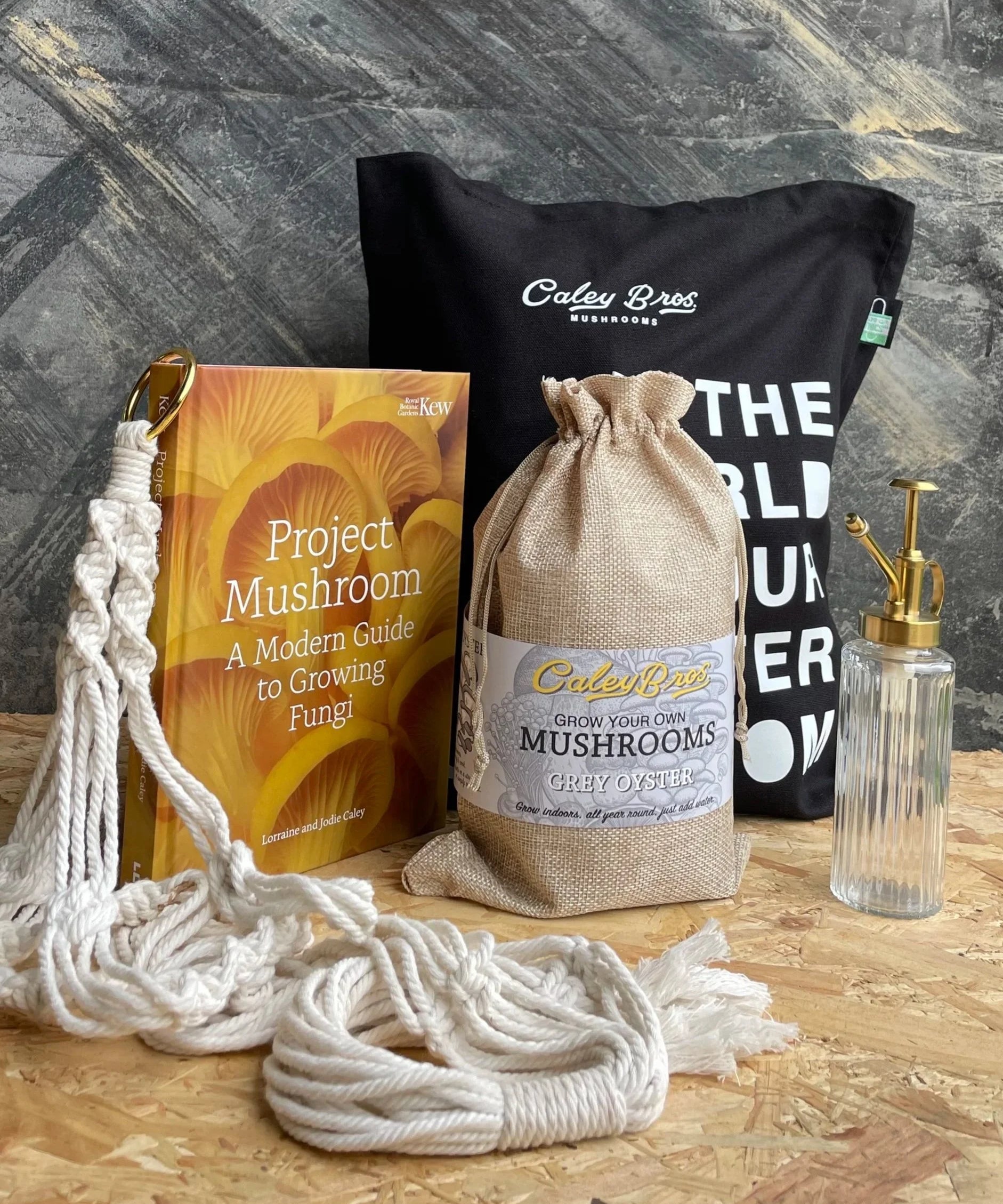 Mushroom growing kit with book, grow bag, and other items on a wooden surface.