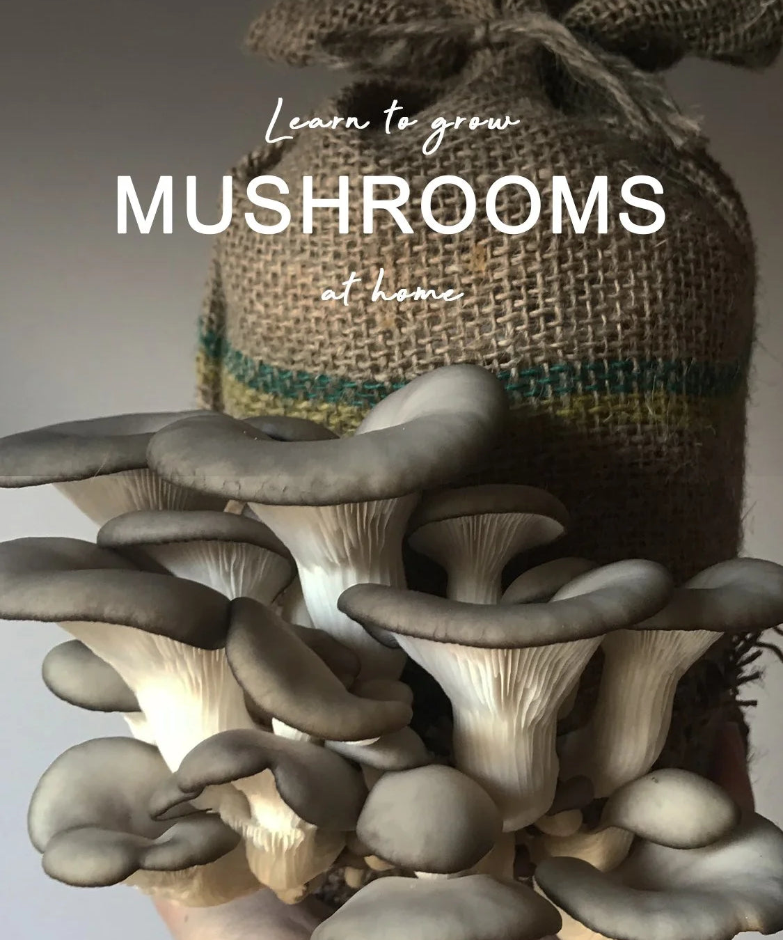 Mushrooms with a burlap bag in the background and text 'Learn to grow MUSHROOMS at home'.