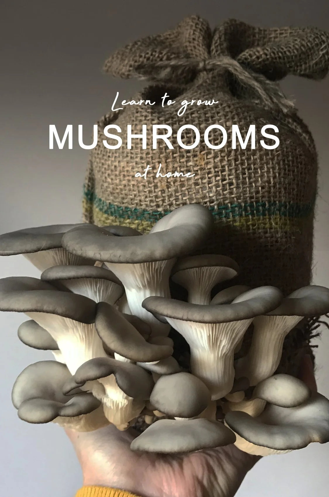 Mushrooms with a burlap bag in the background and text 'Learn to grow MUSHROOMS at home'.