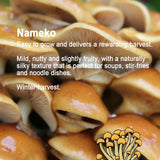 Mushroom Log Growing Kit