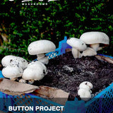 Outdoor Mixed Growing Package