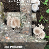 Outdoor Mixed Growing Package
