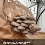 Outdoor Mixed Growing Package
