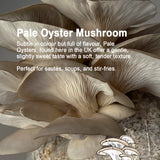 Pale Oyster Mushroom with descriptive text on a neutral background