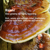 Mushroom Log Growing Kit